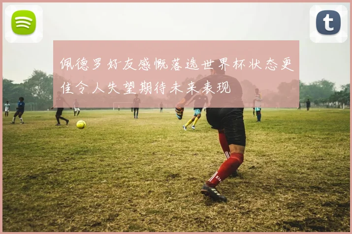 佩德罗好友感慨落选世界杯状态更佳令人失望期待未来表现